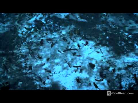 Die Erde   Ein Planet entsteht 2