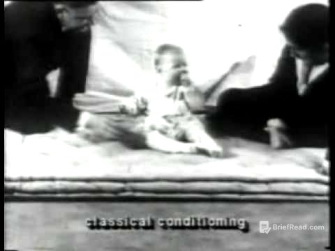 Experimento Conductista: Watson y el pequeño Albert (en español)