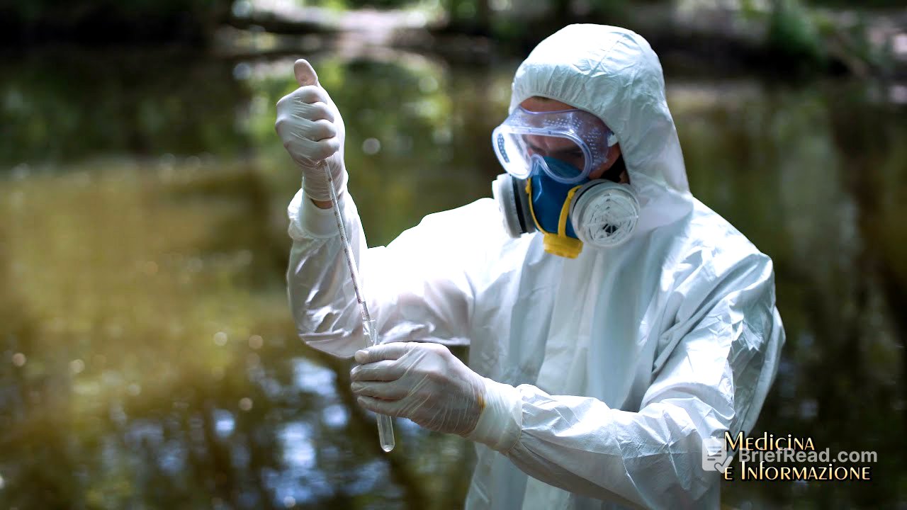 Inquinamento ambientale e rischi per la salute: che relazione c'è fra tumori del sangue e ambiente?