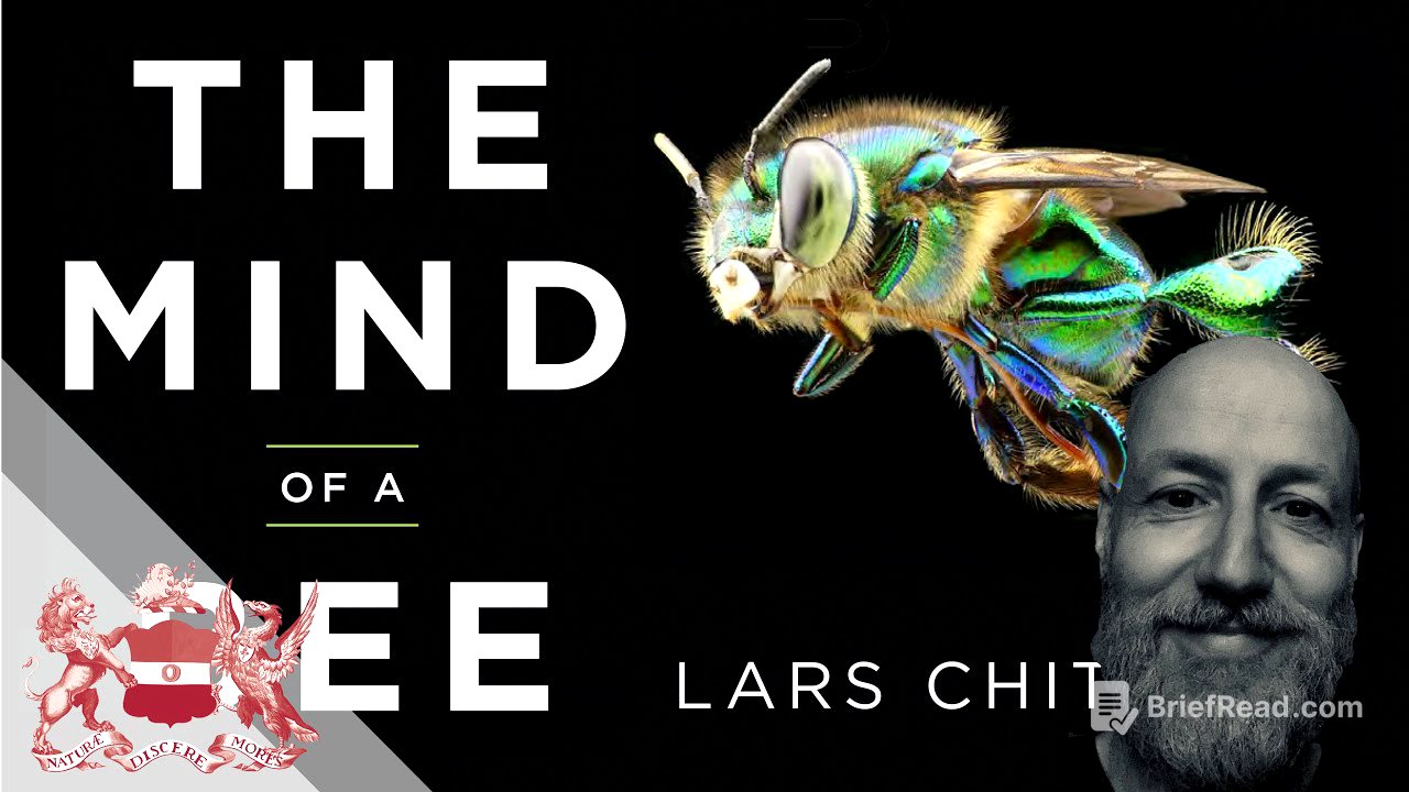 The Mind of a Bee | Lars Chittka