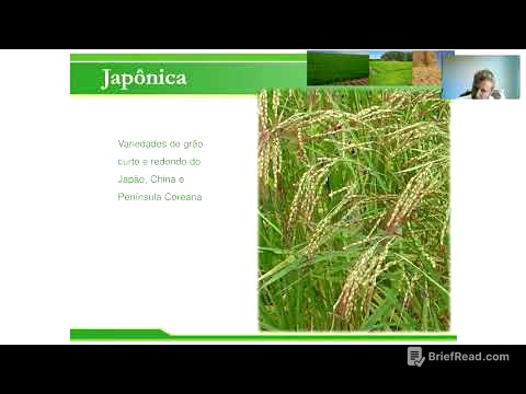 Introdução a cultura do arroz