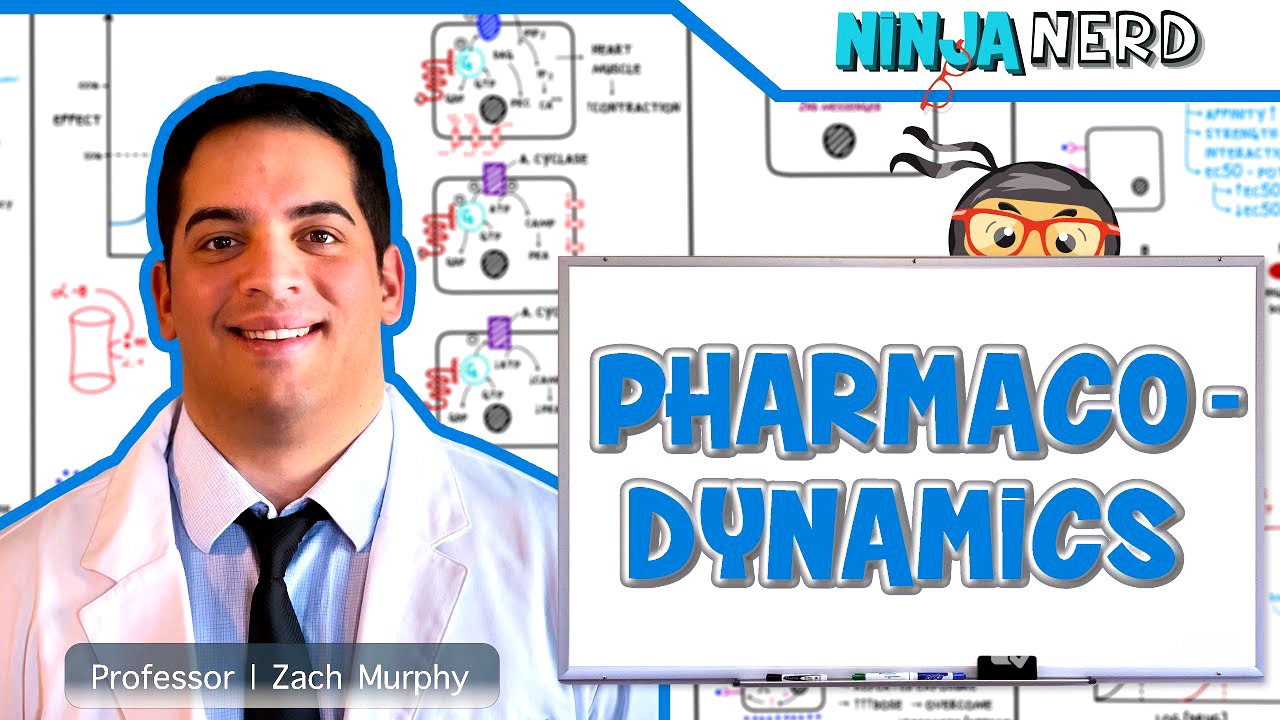 Pharmacodynamics