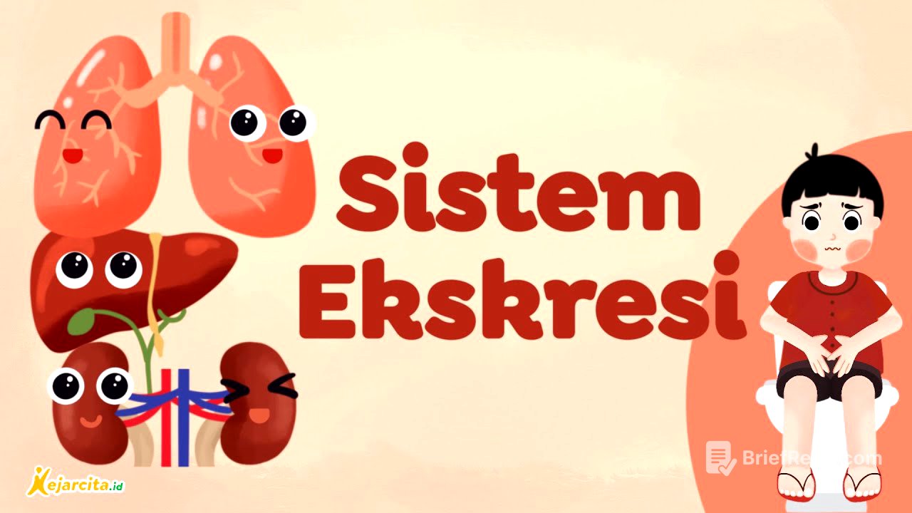 Sistem Ekskresi | IPA SMP
