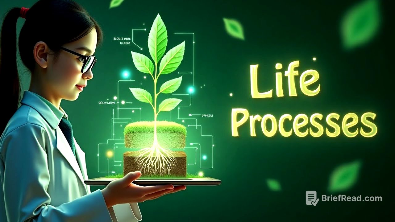 Life Processes | Class 10 full Chapter | Class 10 Science Chapter 5 in Animation