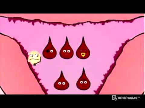 L'apparato Riproduttore