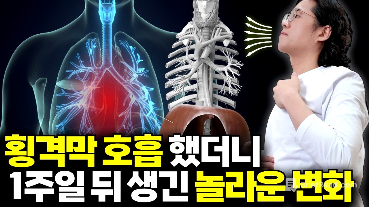 횡격막 호흡의 놀라운 효과 | 복식 호흡 제대로 하는 방법