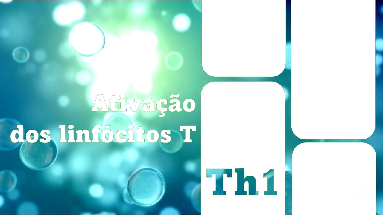 Resposta Th1 - Th1 Response
