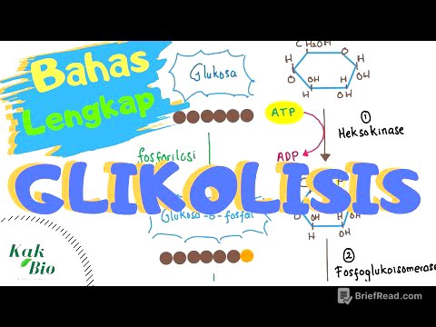 Bahas Lengkap Glikolisis | Respirasi Aerob