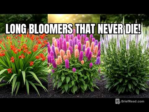 15 Best LONGEST Blooming Perennial Flowers 🌼 Rare Perennials for Nonstop Color Until Frost
