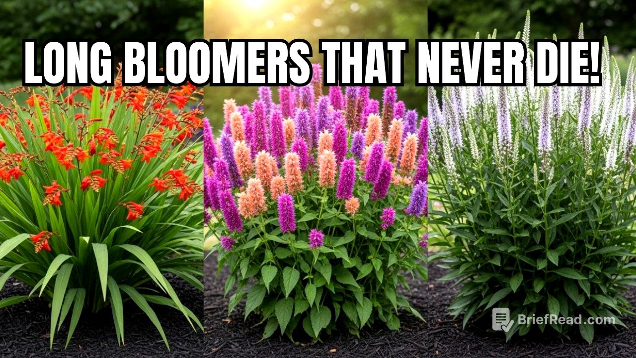 15 Best LONGEST Blooming Perennial Flowers 🌼 Rare Perennials for Nonstop Color Until Frost