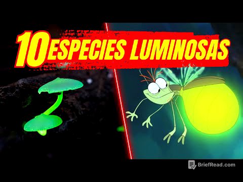 🟢BIOLUMINISCENCIA | 10 ESPECIES LUMINOOSAS 🌎 Ecología