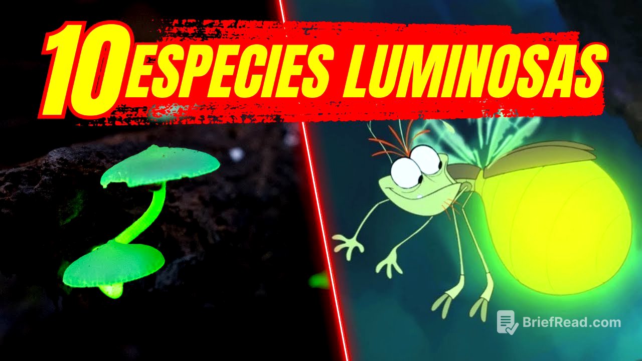 🟢BIOLUMINISCENCIA | 10 ESPECIES LUMINOOSAS 🌎 Ecología
