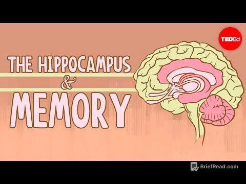 What happens when you remove the hippocampus? - Sam Kean