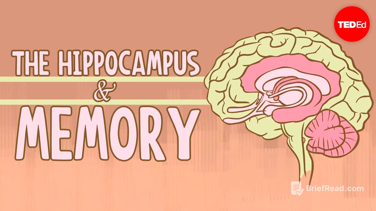 What happens when you remove the hippocampus? - Sam Kean