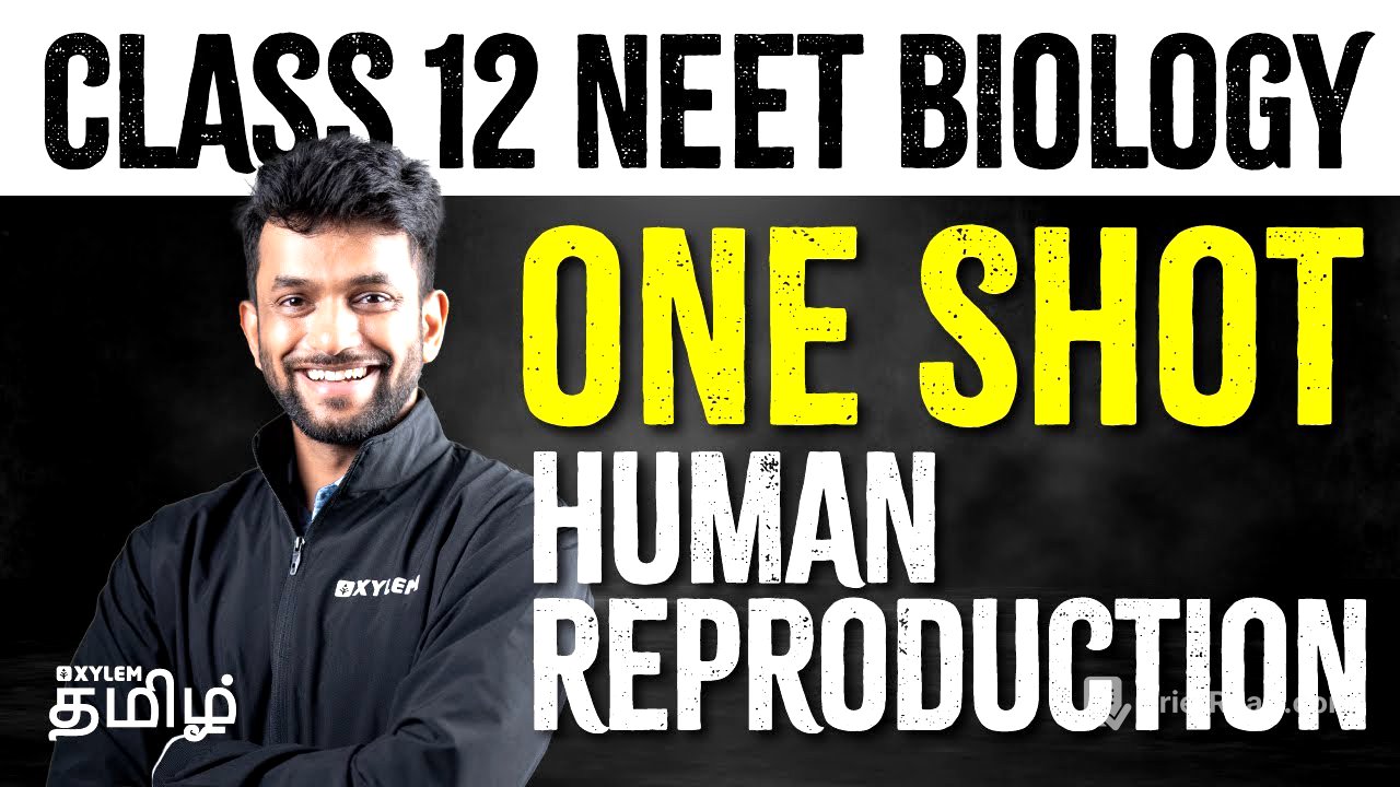 Class 12 NEET - Biology | One Shot | Human Reproduction | Xylem NEET Tamil