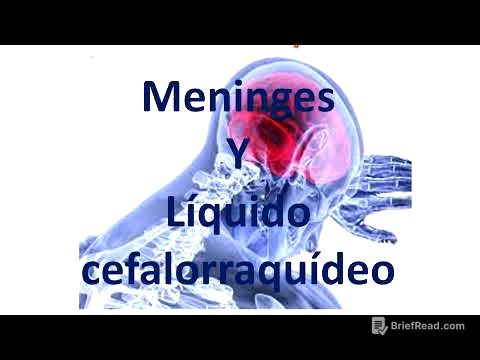 Meninge y líquido cefalorraquídeo