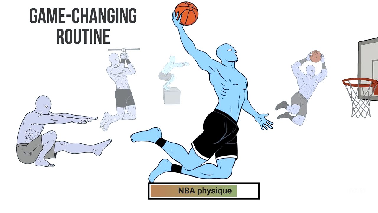 The physique of a basketball player