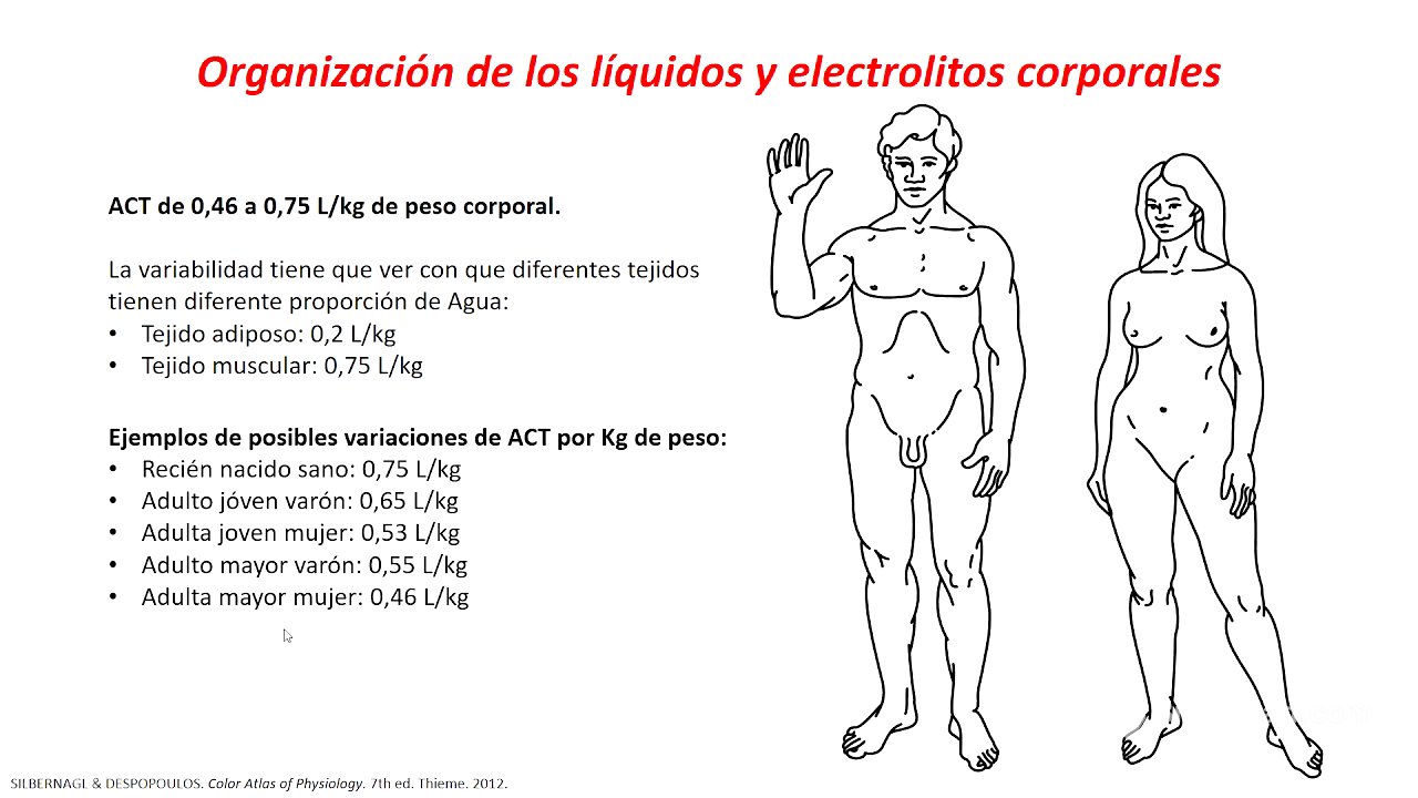 Fisiología - Generalidades de líquidos y electrolítos corporales