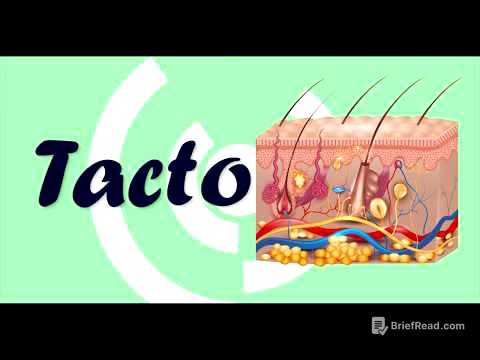 Sentido del Tacto - Fisiología
