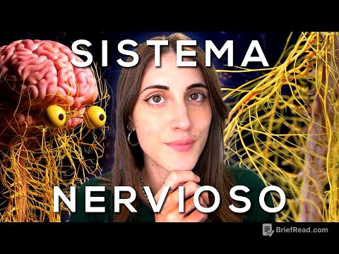 El SISTEMA NERVIOSO explicado FÁCIL