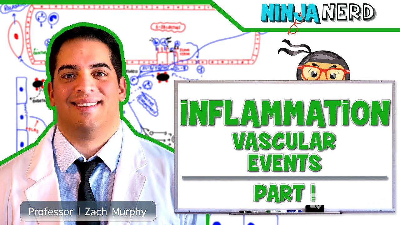 Immunology | Inflammation: Vascular Events: Part 1