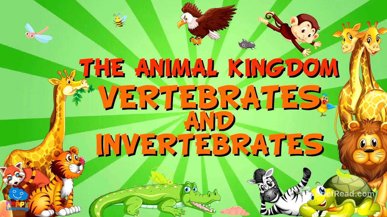THE ANIMAL KINGDOM. VERTEBRATES AND INVERTEBRATES | Educational Videos for Kids