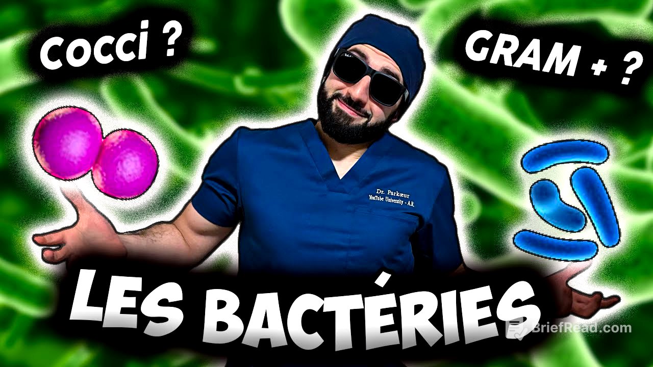 BACTÉRIES : LE GUIDE ULTIME 🦠