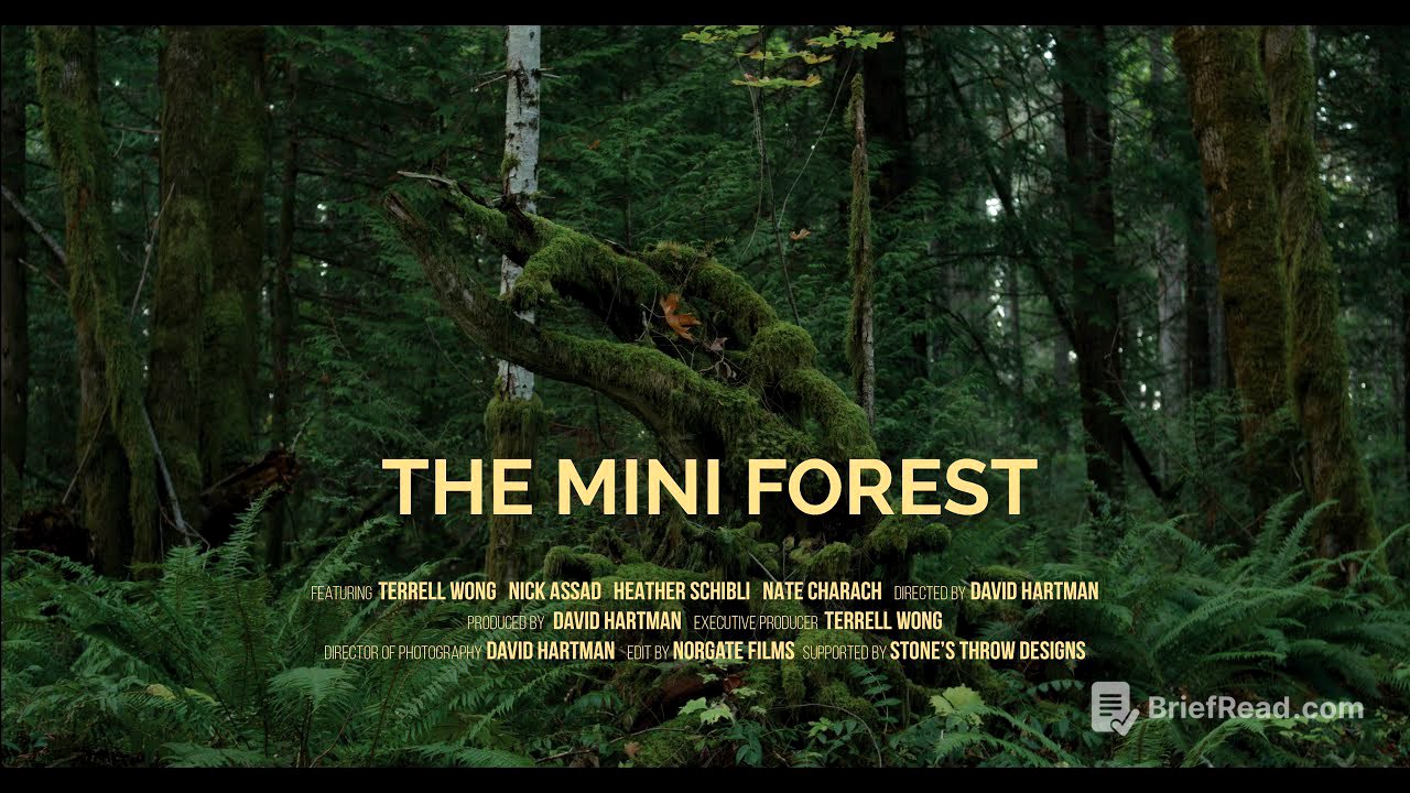 THE MINI FOREST - Rewilding using the Miyawaki Method