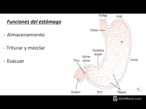 9 Digestión mecánica gástrica y vaciamiento