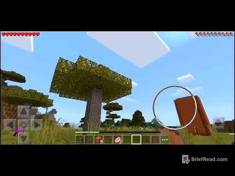 Eu jogando Minecraft