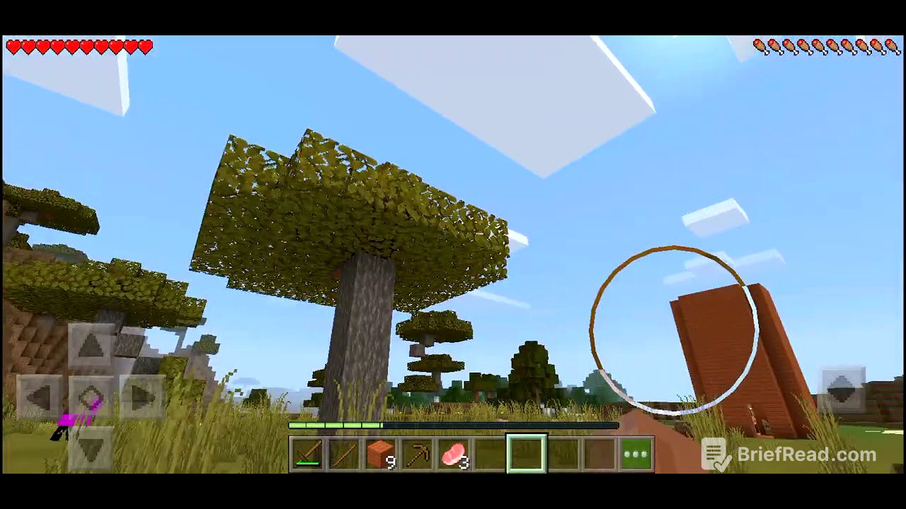 Eu jogando Minecraft