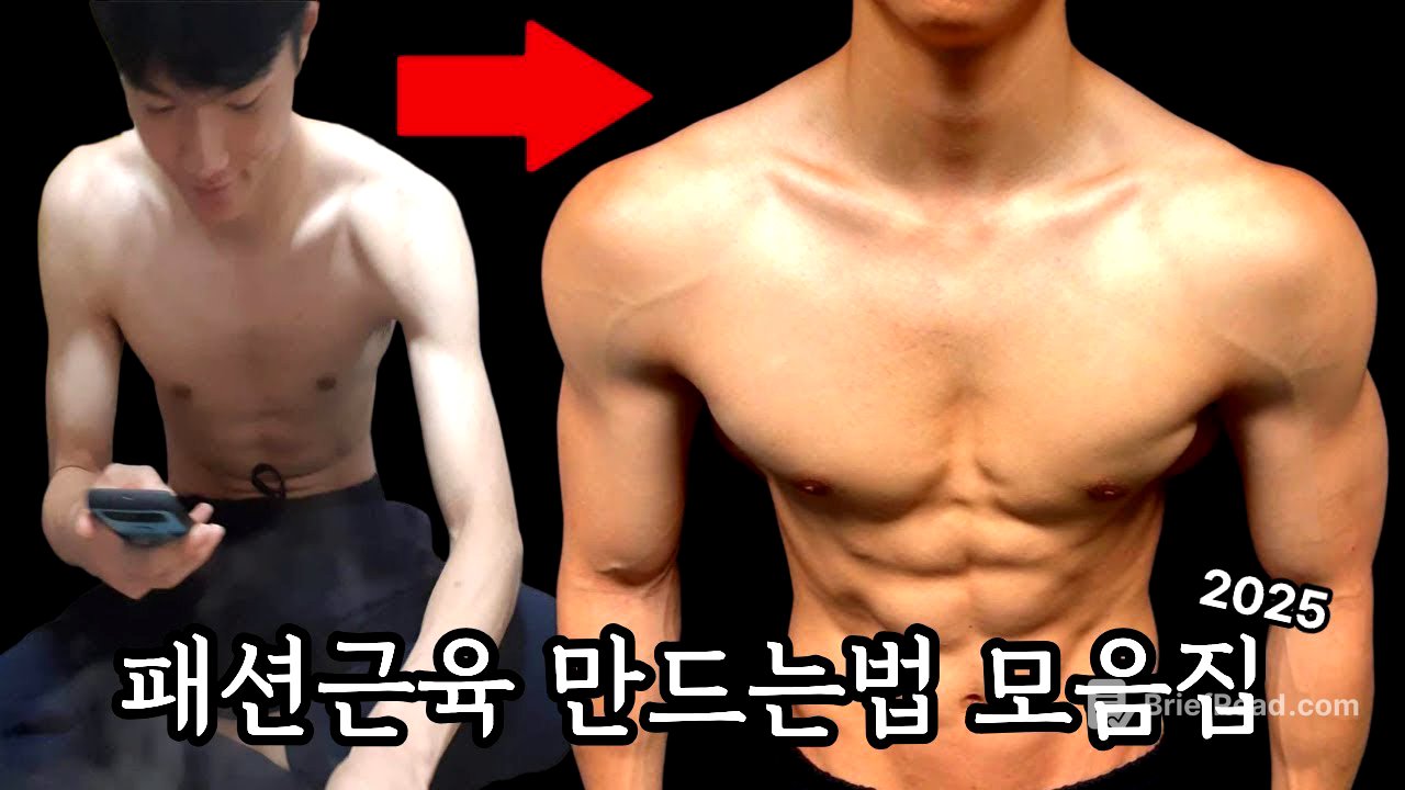 패션근육 만드는법 몰아보기 2025ver. (패션근육 개론, 식단법, 운동루틴)