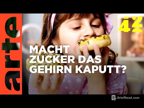 Macht Zucker dumm?  | 42 - Die Antwort auf fast alles | ARTE