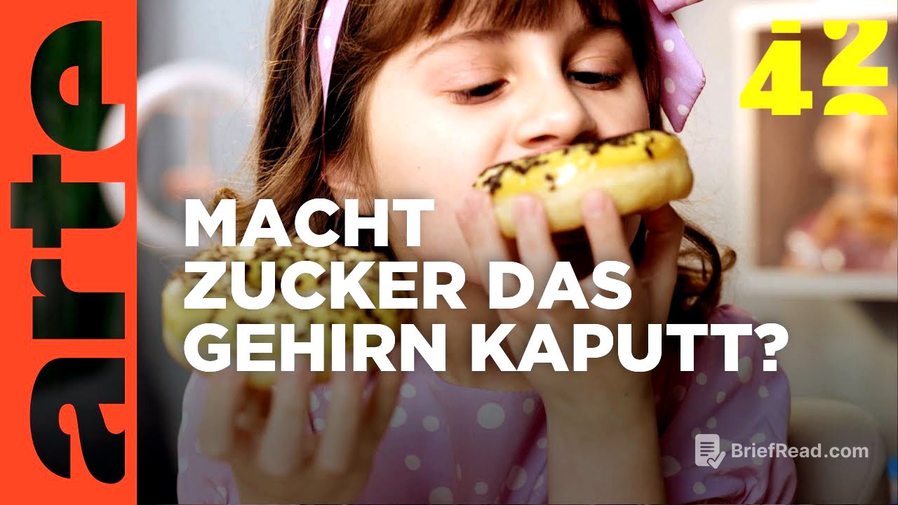 Macht Zucker dumm?  | 42 - Die Antwort auf fast alles | ARTE