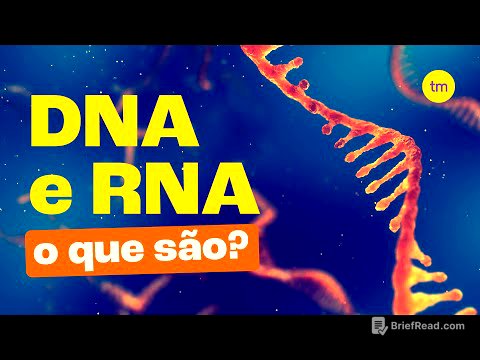 DNA e RNA | Quais são as DIFERENÇAS?