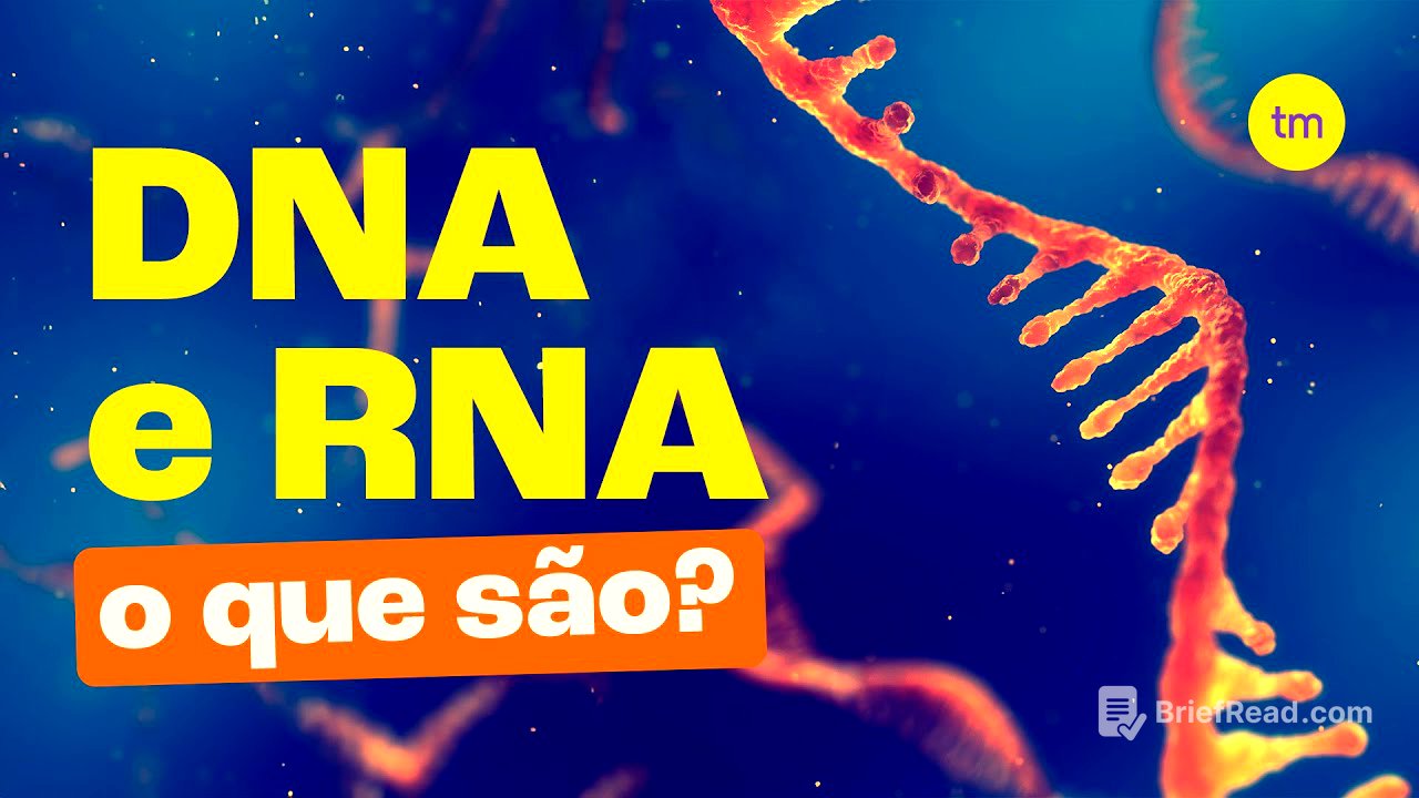 DNA e RNA | Quais são as DIFERENÇAS?