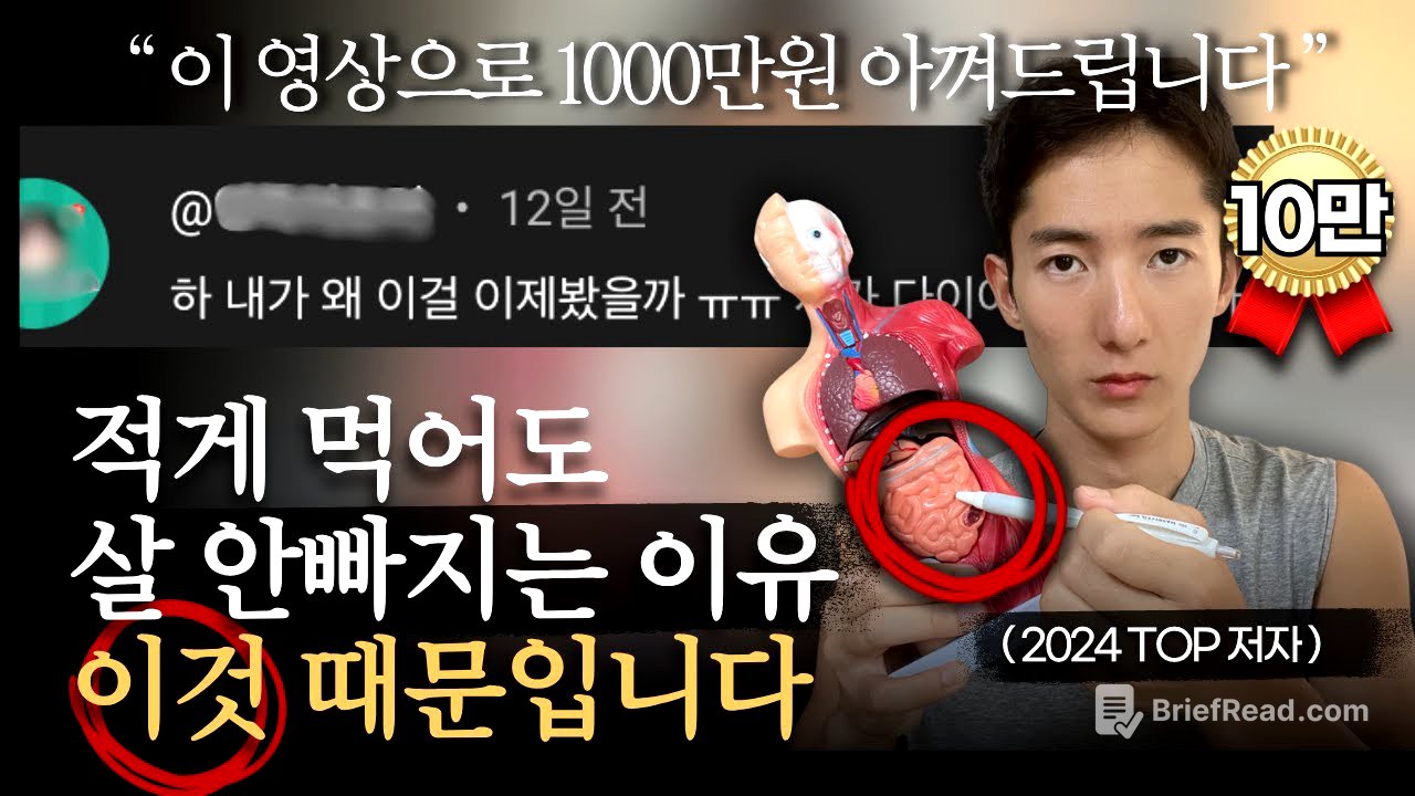 댓글창 난리난 다이어트 핵심비법 外 | 70분 연속 재생