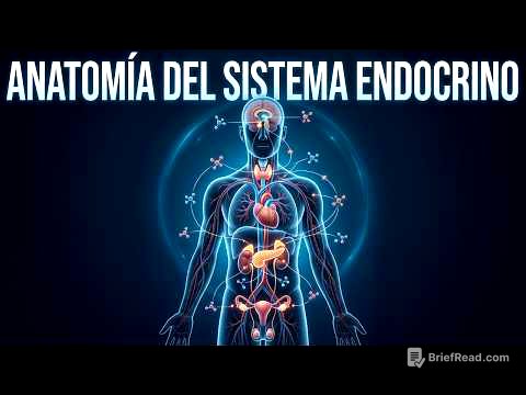 Hormonas: El Código Invisible del Cuerpo Humano