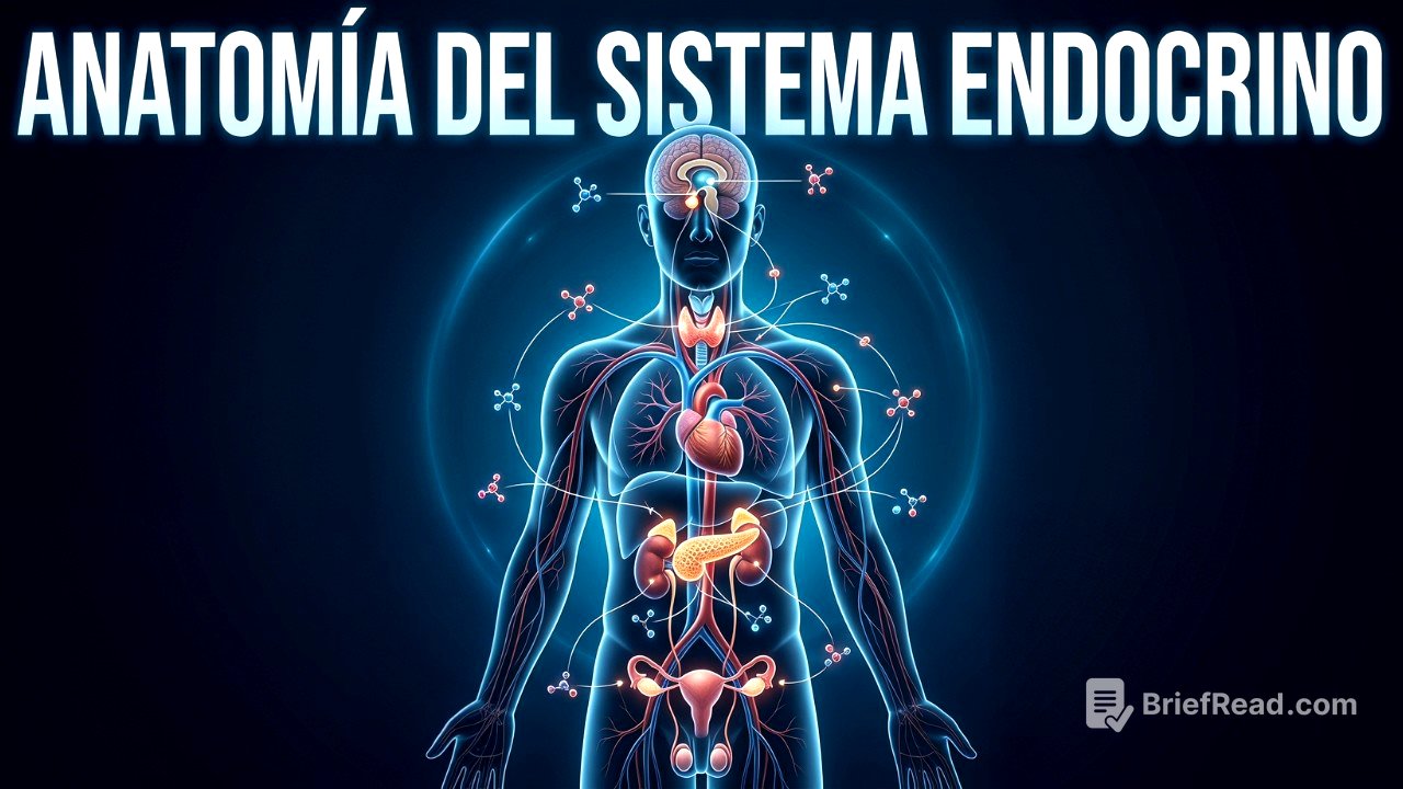 Hormonas: El Código Invisible del Cuerpo Humano