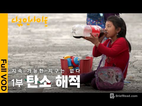 친환경 기업, 탄소 해적에게 삶의 터전을 빼앗긴 원주민들. 전세계 탄소 중립의 이면 | KBS 다큐인사이트 - 지속 가능한 지구는 없다 1부. 탄소 해적 24.01.11 방송