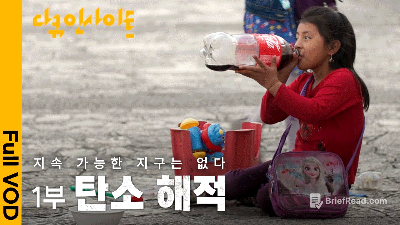 친환경 기업, 탄소 해적에게 삶의 터전을 빼앗긴 원주민들. 전세계 탄소 중립의 이면 | KBS 다큐인사이트 - 지속 가능한 지구는 없다 1부. 탄소 해적 24.01.11 방송