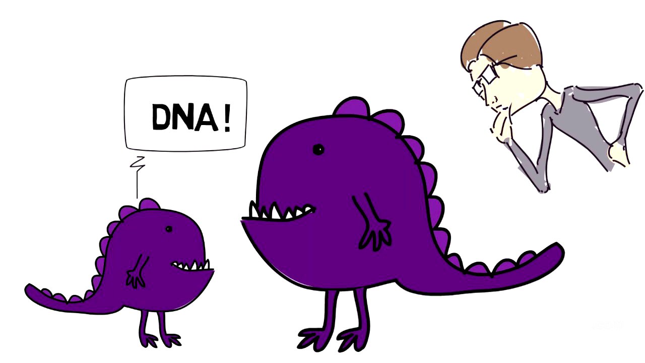 Science for kids - What is DNA ?