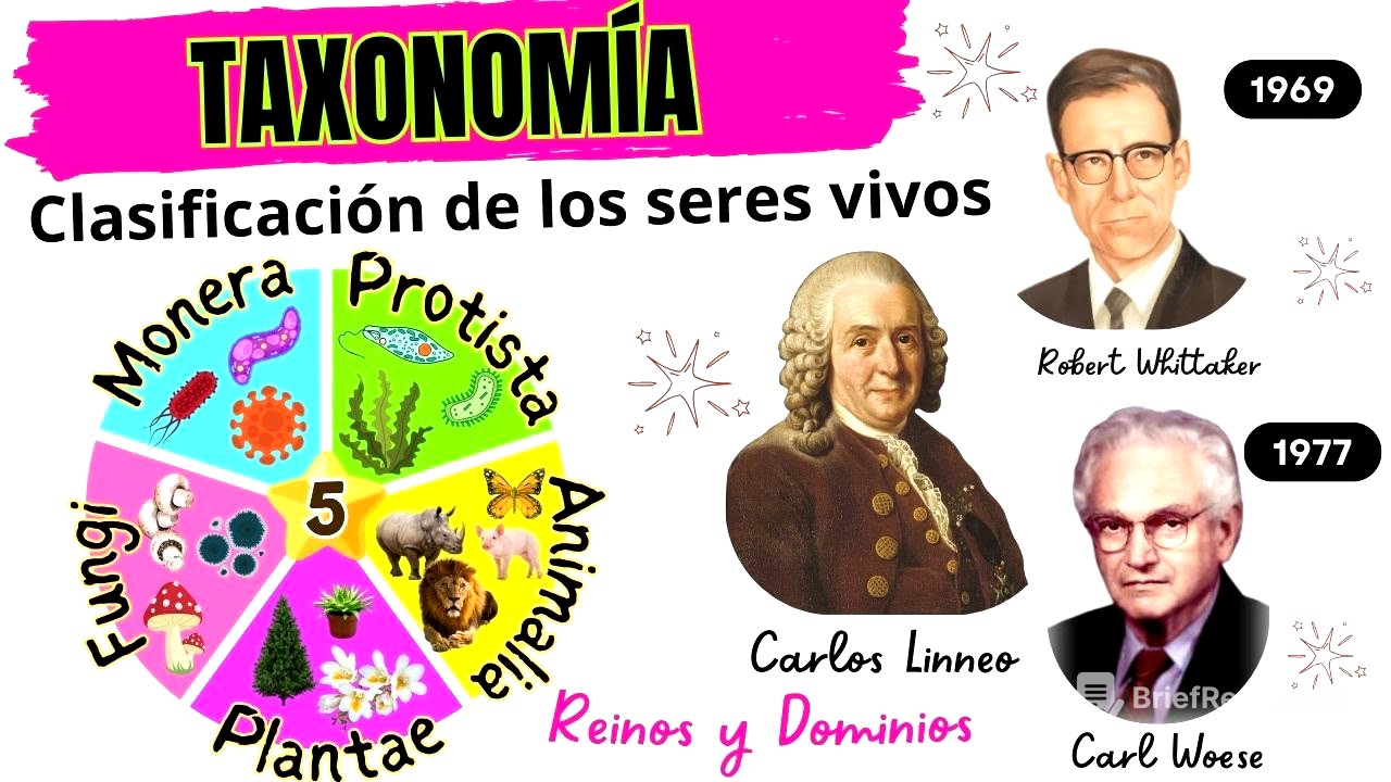 🔬 Taxonomía 🦠🍄 Clasificación de los Seres Vivos 🌿🐶Explicación, ejemplos + Quiz 📚🧬STEM. Biología