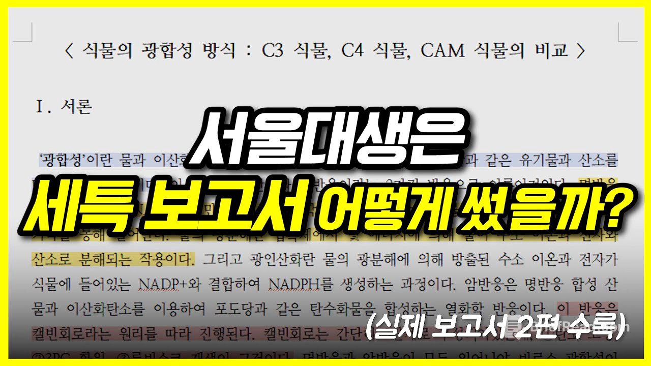 서울대생의 실제 세특 보고서 + 세특 작성법 공개합니다