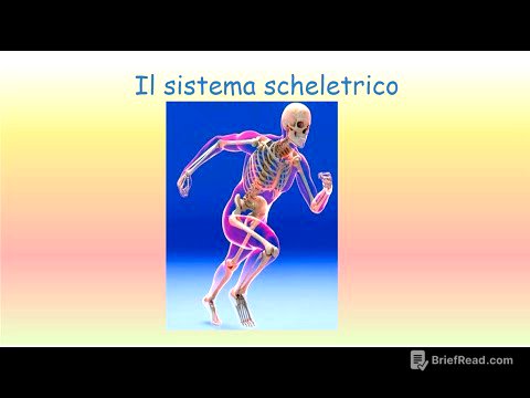 Sistema scheletrico