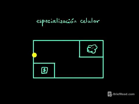 Especialización celular