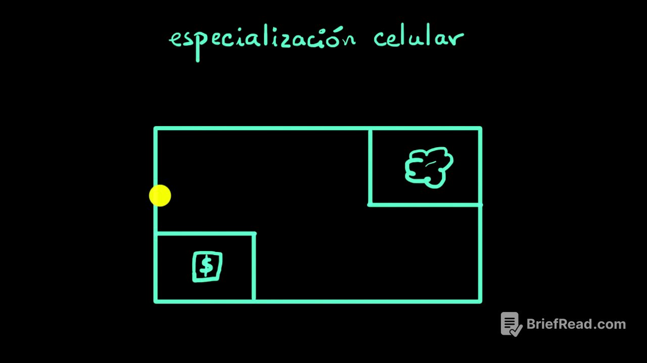 Especialización celular