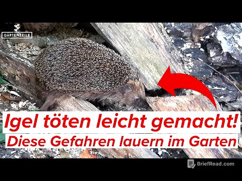 Igel töten leicht gemacht! [Und das solltet ihr tun, um sie zu schützen]