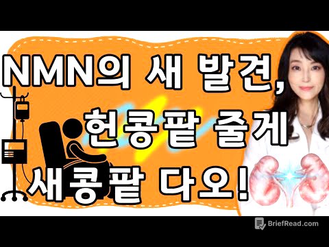 장수물질 NMN과 신장기능 회복(feat. 신장투석/신장이식)🎉 구독자 선물 이벤트 3탄! 🎁