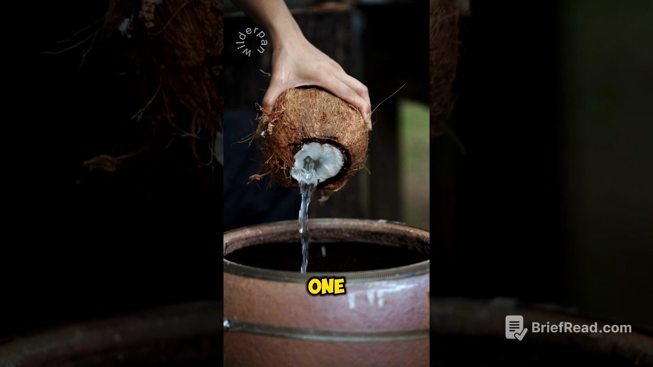 Coconut Turns Into Beauty #shorts
